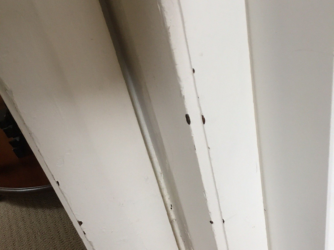 Mentor Chambers Apartment Bed & Breakfast主图