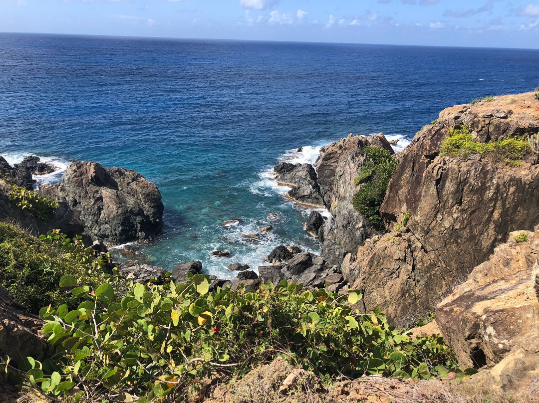 Tektite-圣约翰必去景点