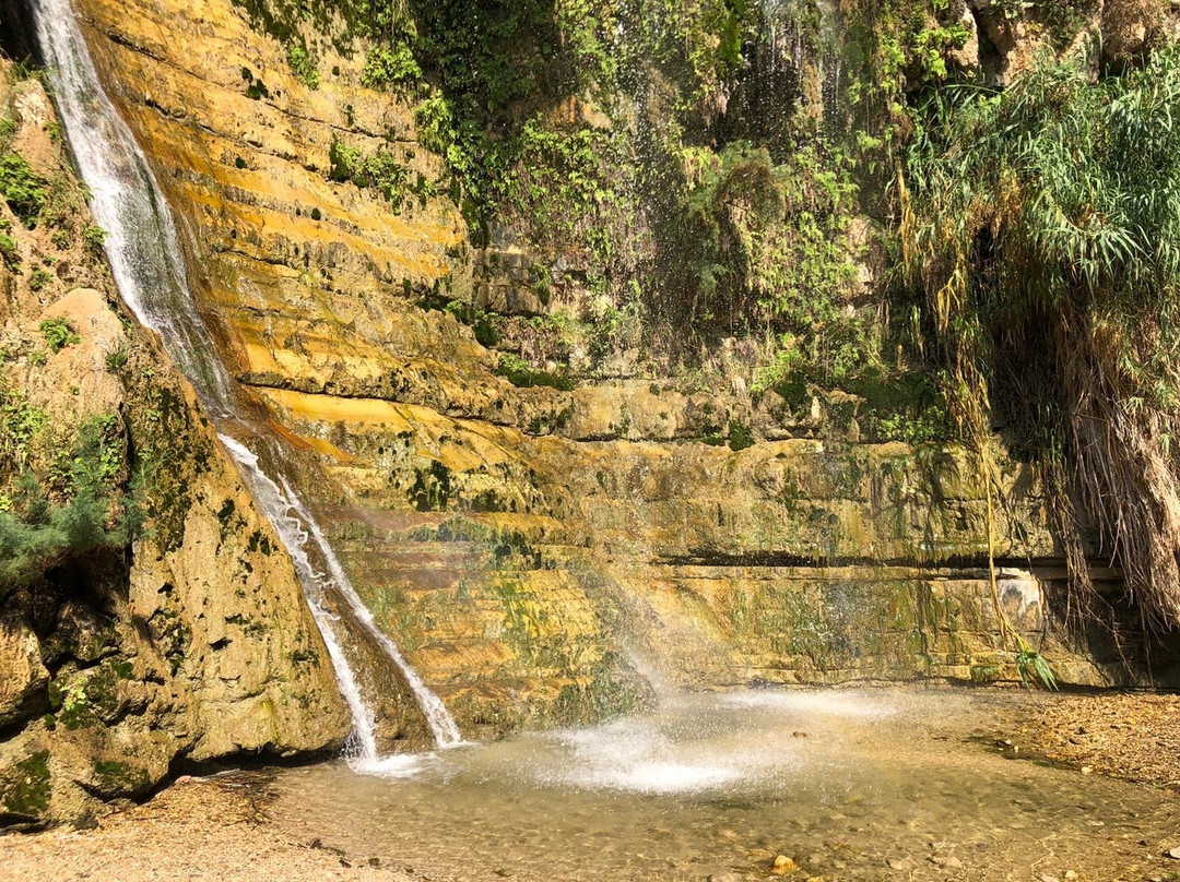 Nachal David Stream-死海地区必去景点