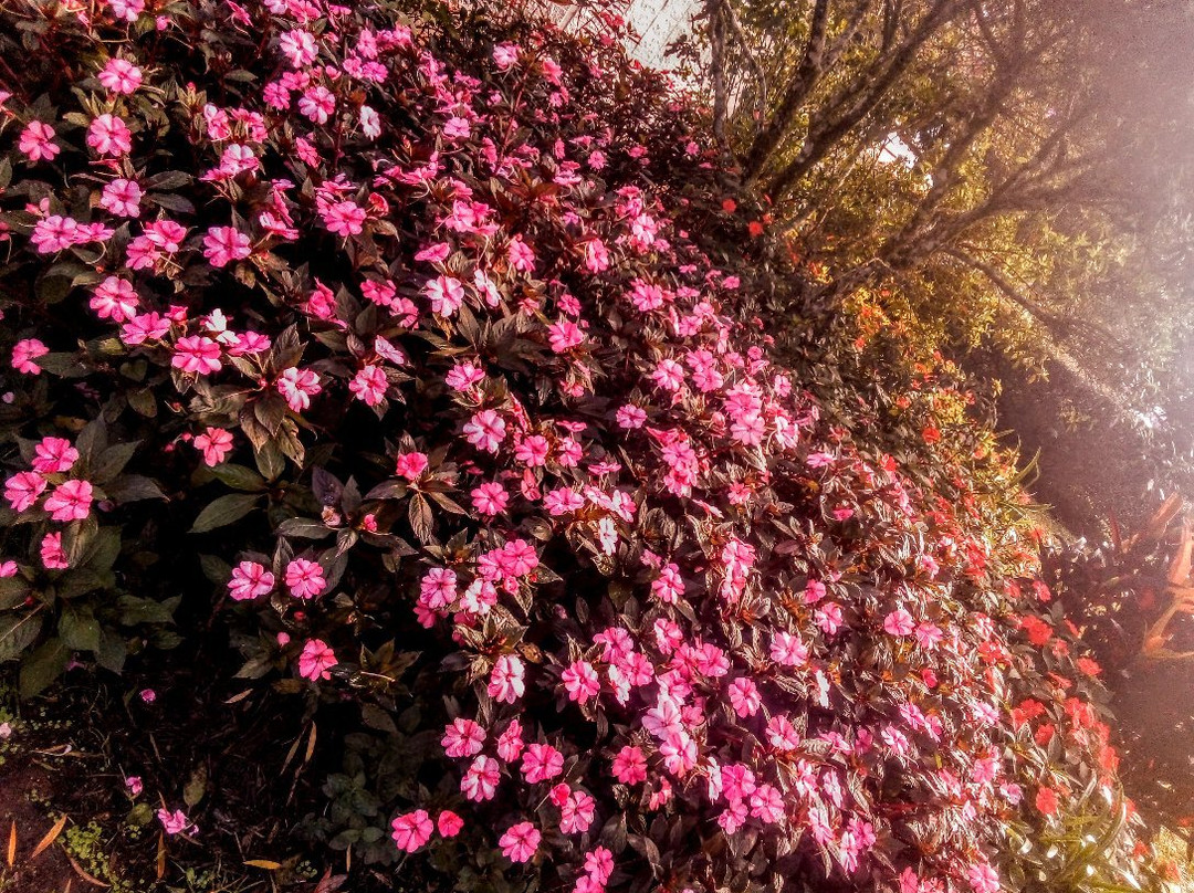 Eacham Memorial Gates Park-马兰达必去景点