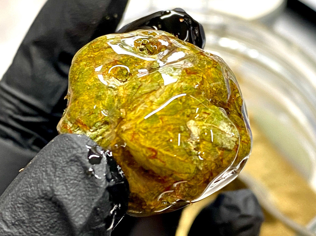 Green Island Herb-Verona Island必去景点