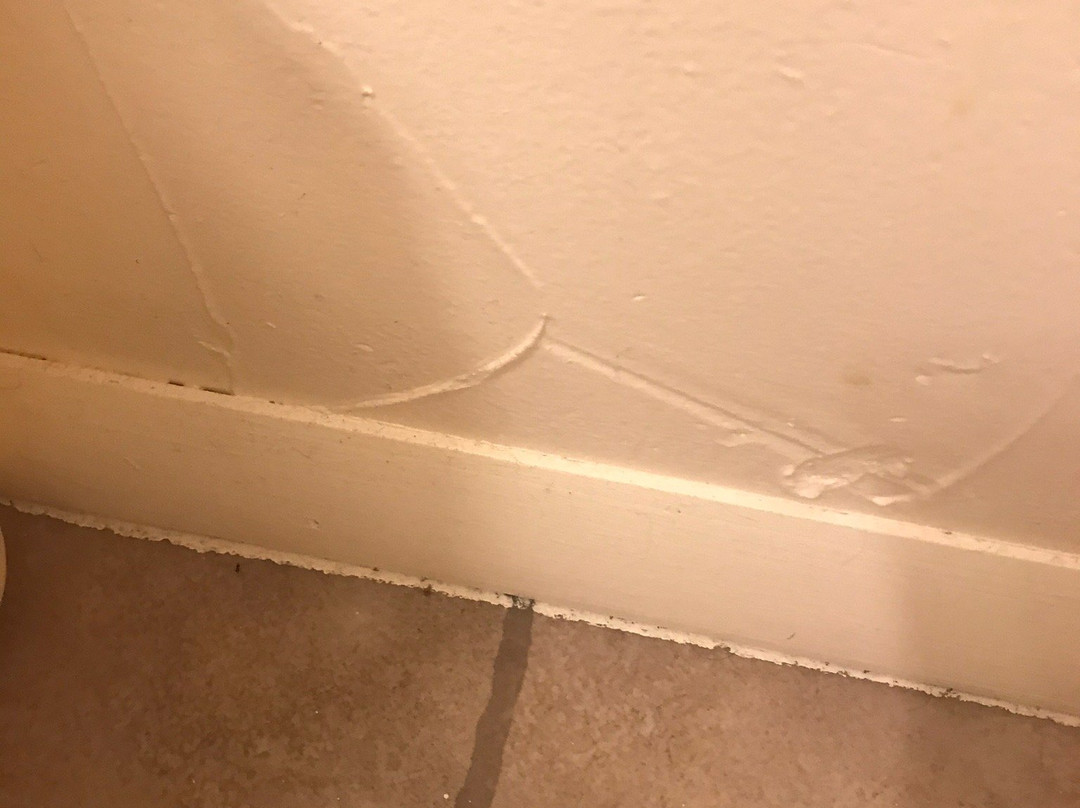 阿尔及尔瀑布汽车旅馆主图