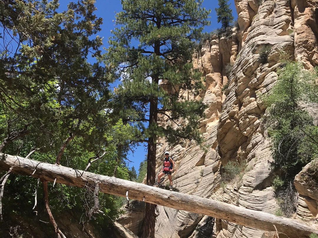 Lick Wash Slot Canyon-卡纳布必去景点