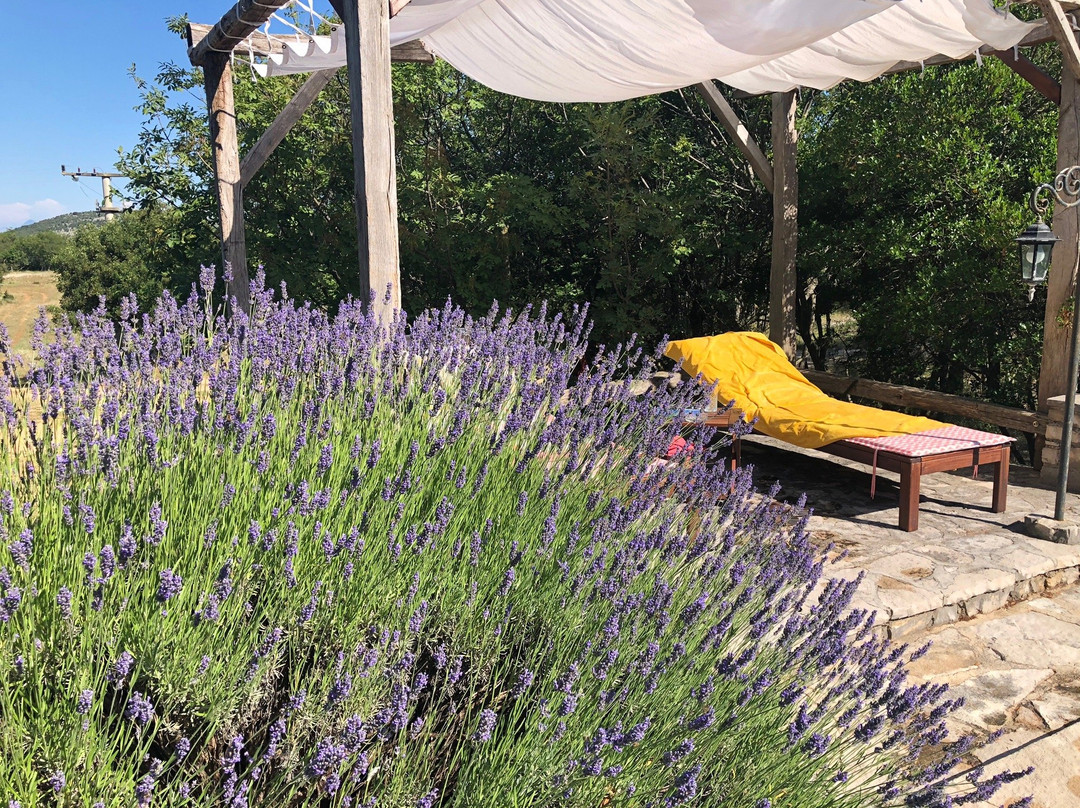 Nono Ban Hotel主图