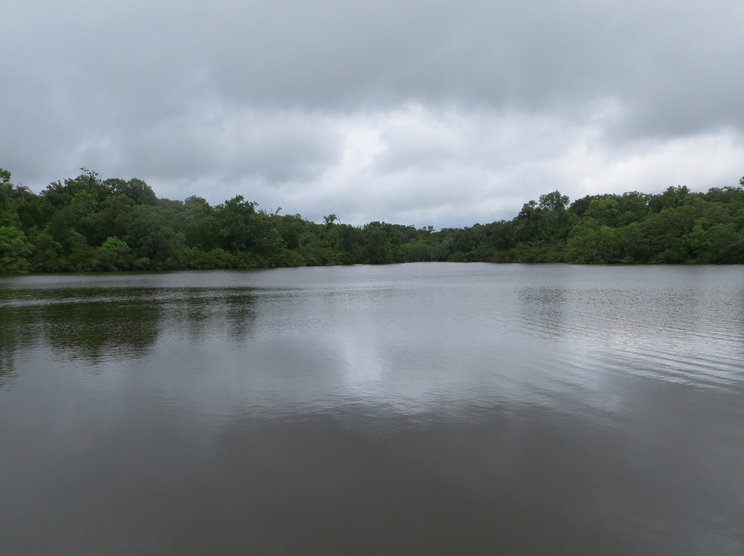 Fort Boggy State Park-Centerville必去景点