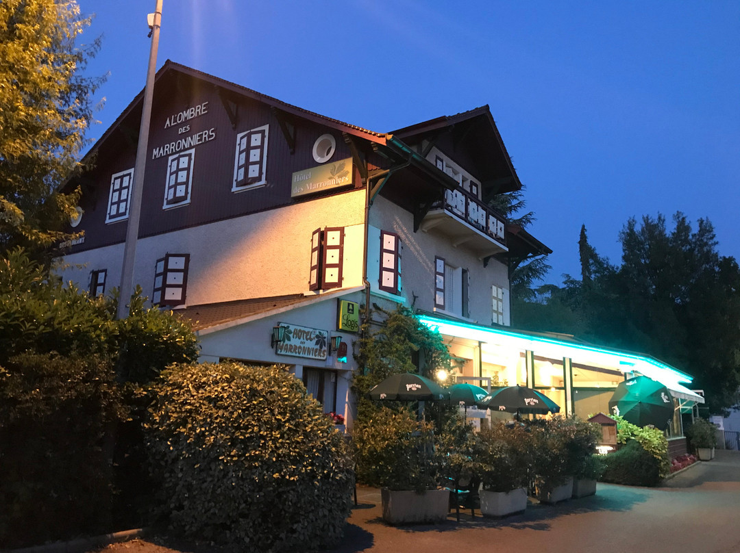 Hotel A l'Ombre des Marronniers主图