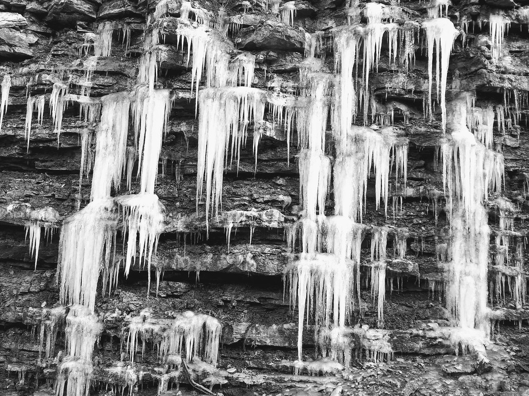 Coney Island-辛辛那提必去景点