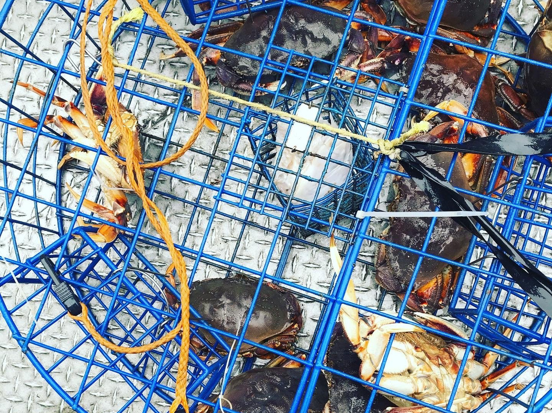 Wild Northern Adventures-Stewart必去景点