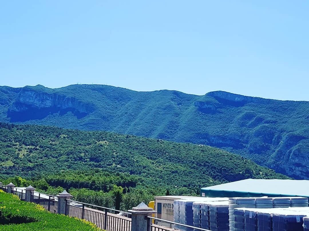 Monte Zovo Azienda Agricola景点图片