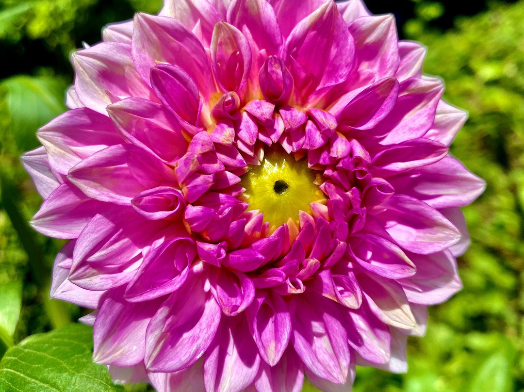 Tama City Green Live Center-多摩市必去景点