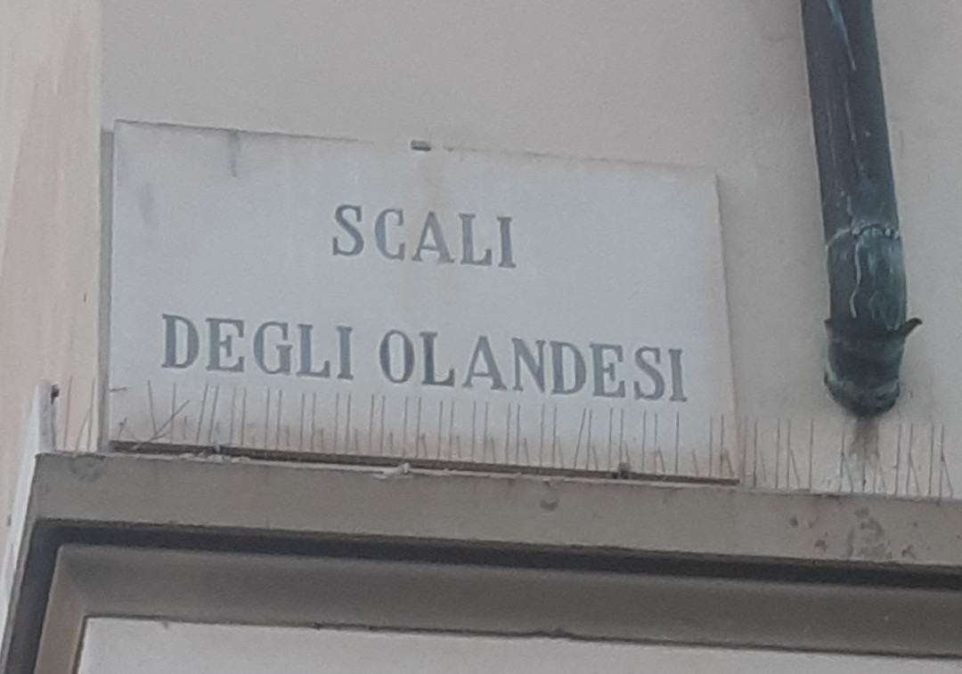 Tempio della Congregazione Olandese Alemanna景点图片