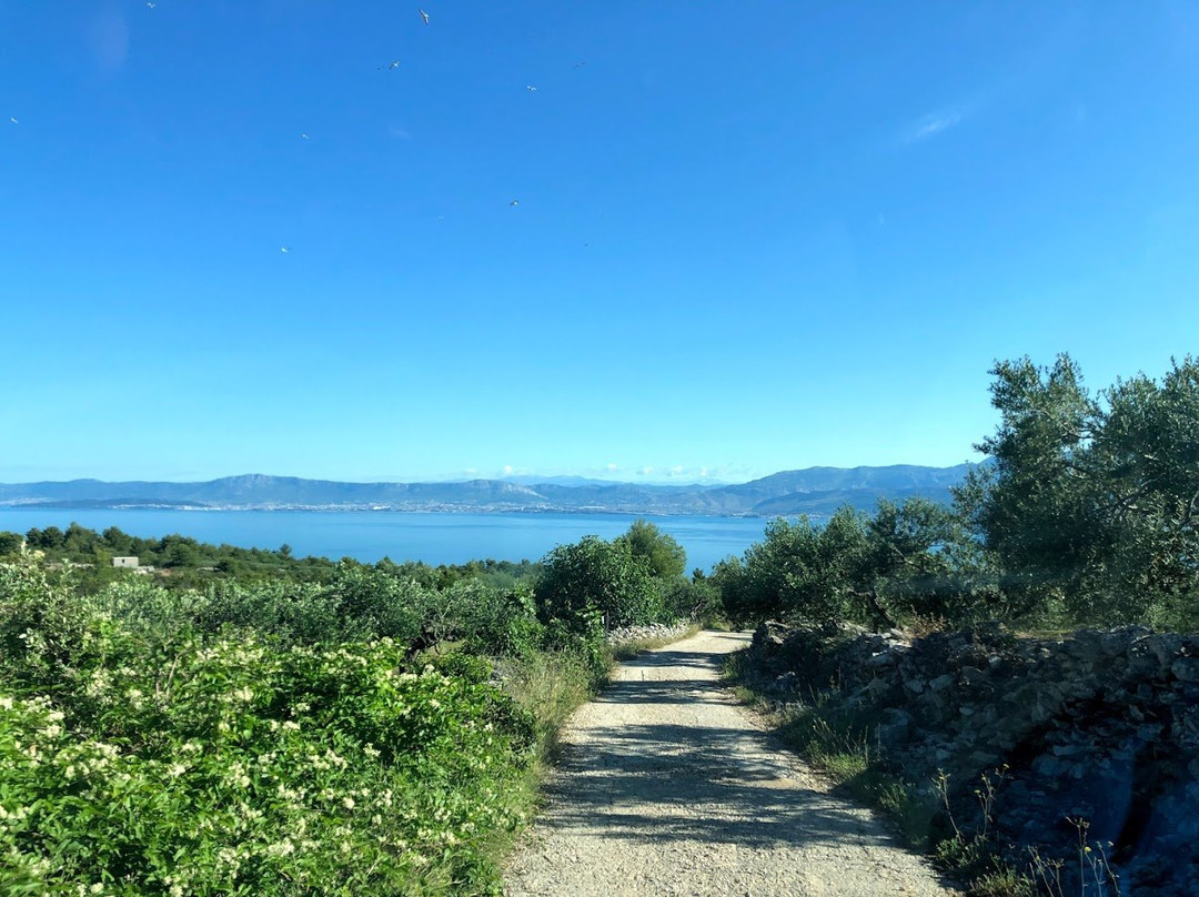 Brač - Put Maslina - Central Dalmatia Croatia - Theme Trails景点图片