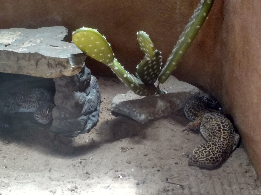 Parque Zoologico Municipal de Bauru景点图片