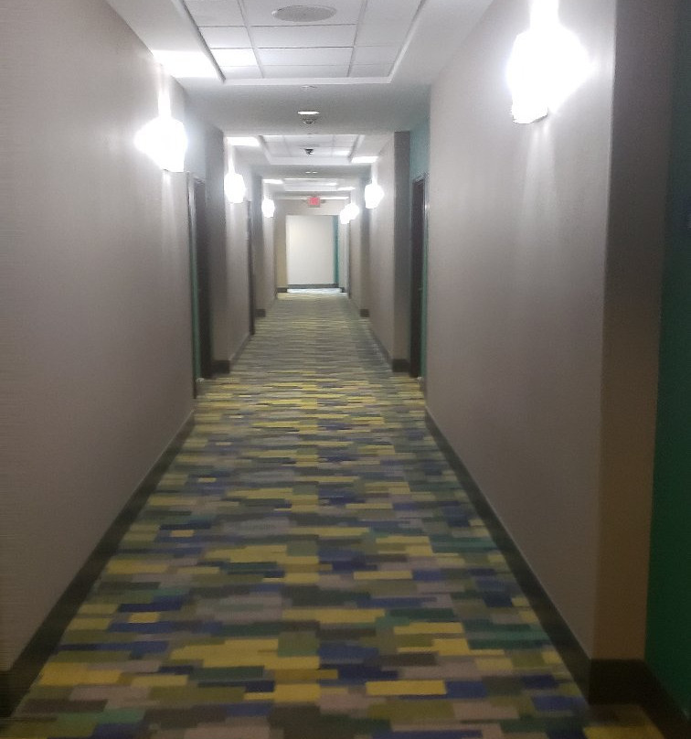 Holiday Inn Express & Suites Pearland by IHG主图