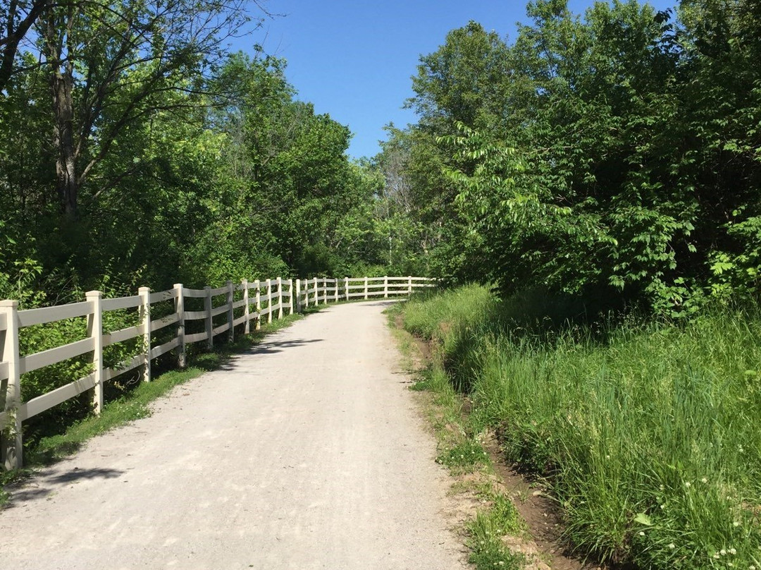Longview Lake-Lee's Summit必去景点