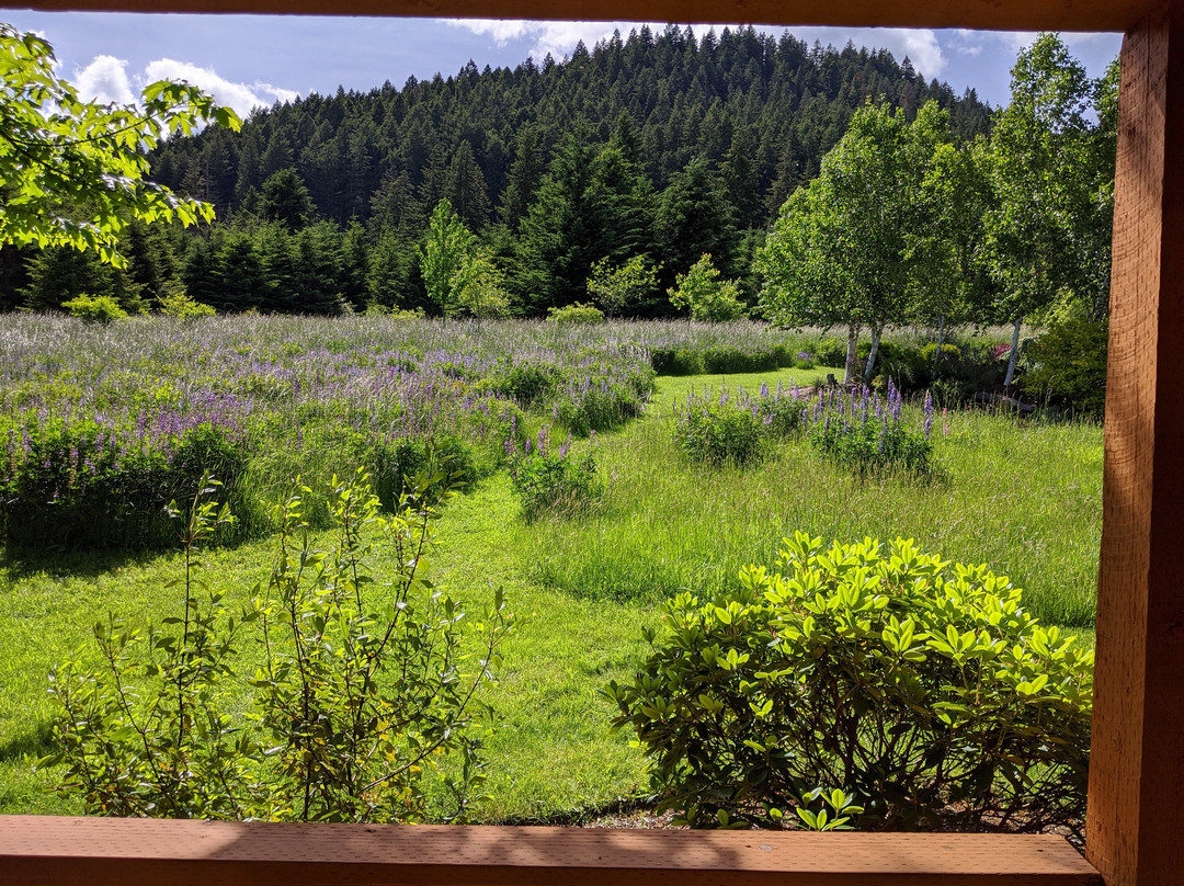 Carson Ridge Luxury Cabins主图