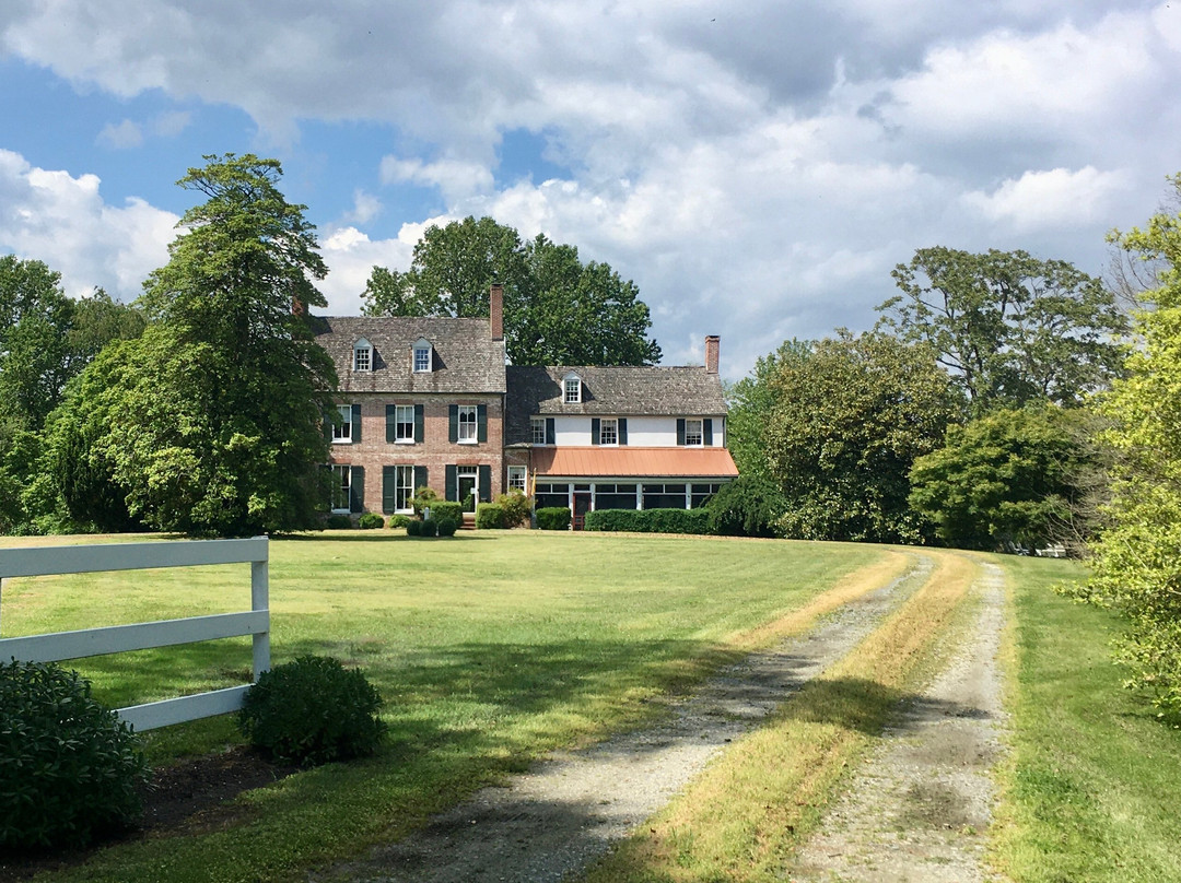 The Inn at Mitchell House主图