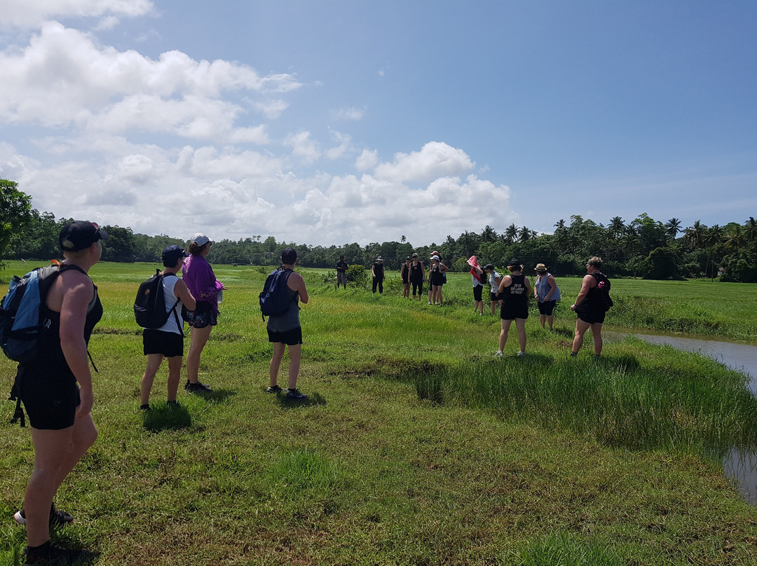 Plantation Surf Inn Midigama主图