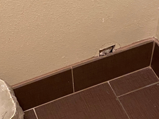 Staybridge Suites San Angelo By IHG主图