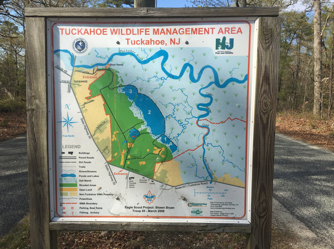 Tuckahoe Wildlife Management Area景点图片