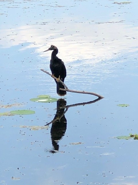 Cullinan Park-舒格兰必去景点