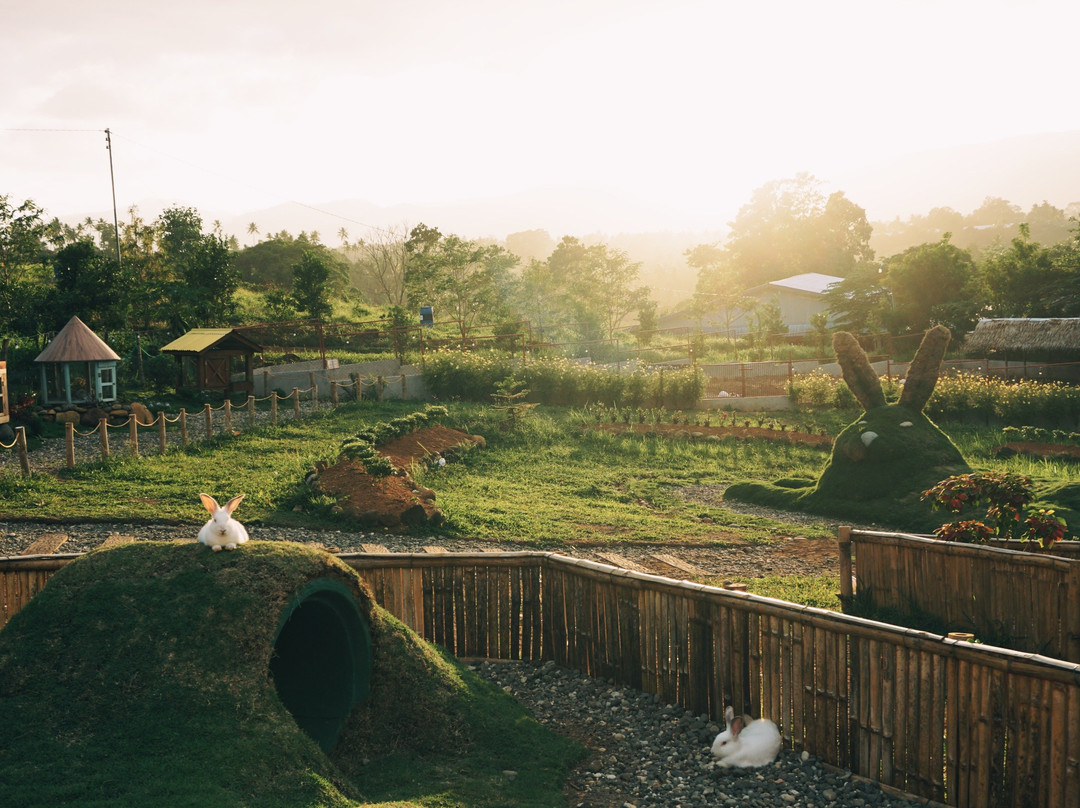 Rabbiton by Shekinah Farm-拜斯市必去景点