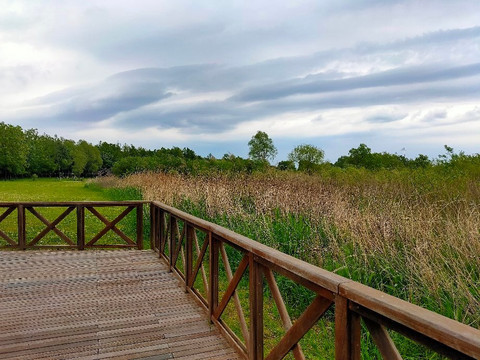 Binnuma Nature Park-富士见市必去景点