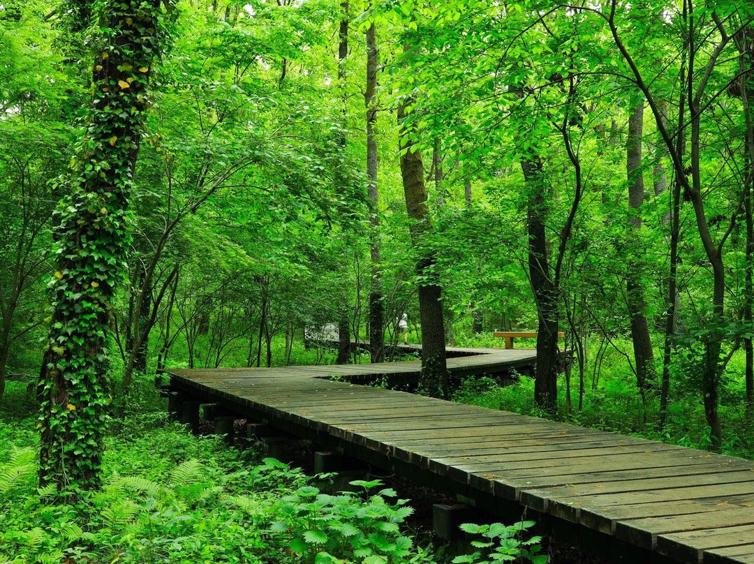 Komiya Park-八王子市必去景点