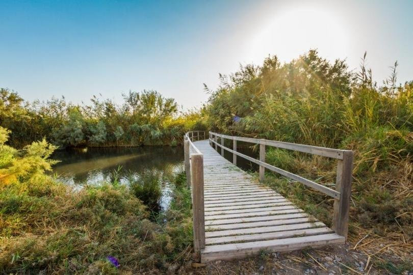 Azraq Wetland Reserve景点图片