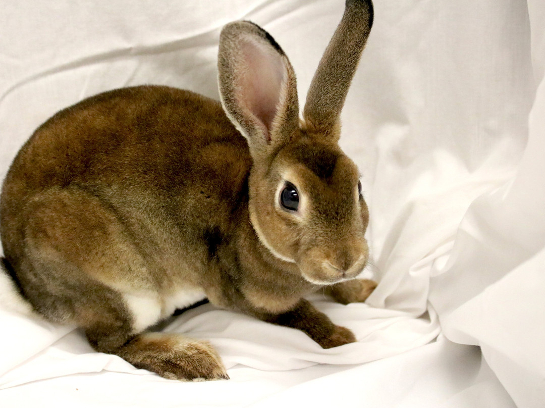 Dickinson County Nature Center-奥科博吉必去景点