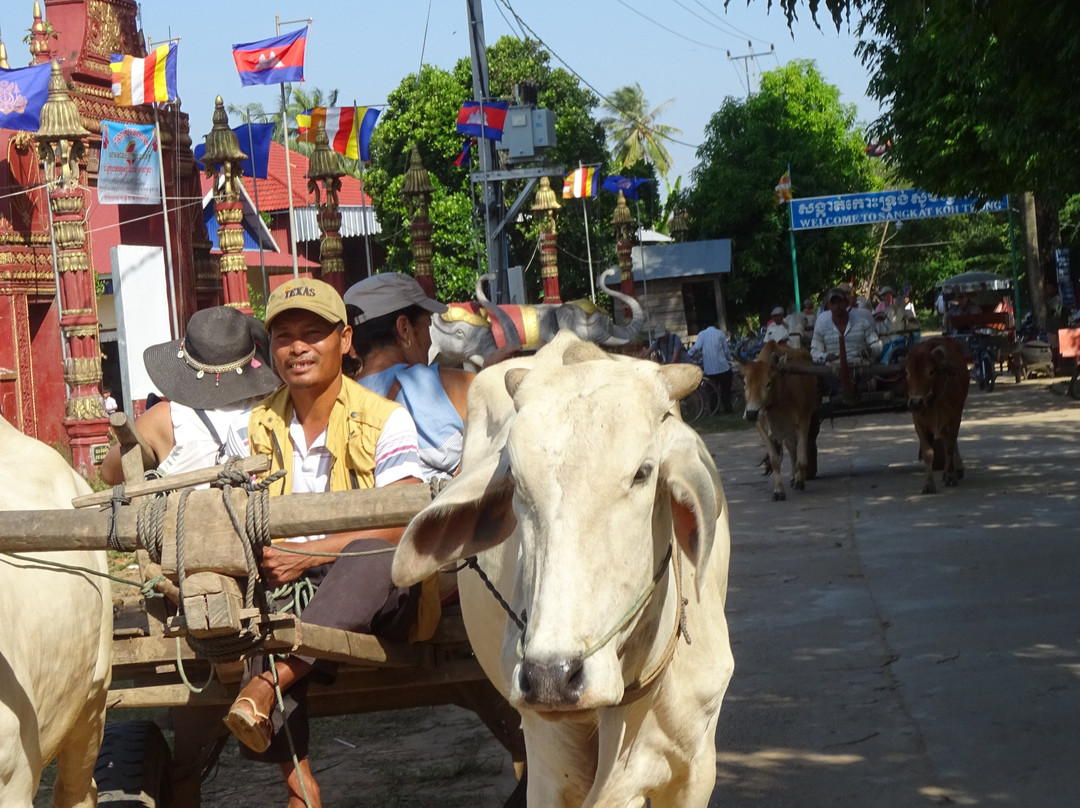 Koh Trong-Kratie必去景点