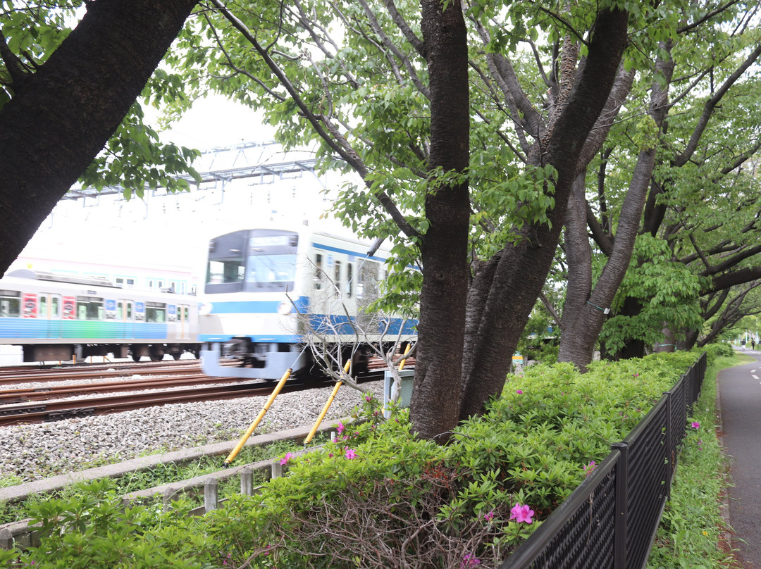 Tama Lake Cycling Road-东大和市必去景点