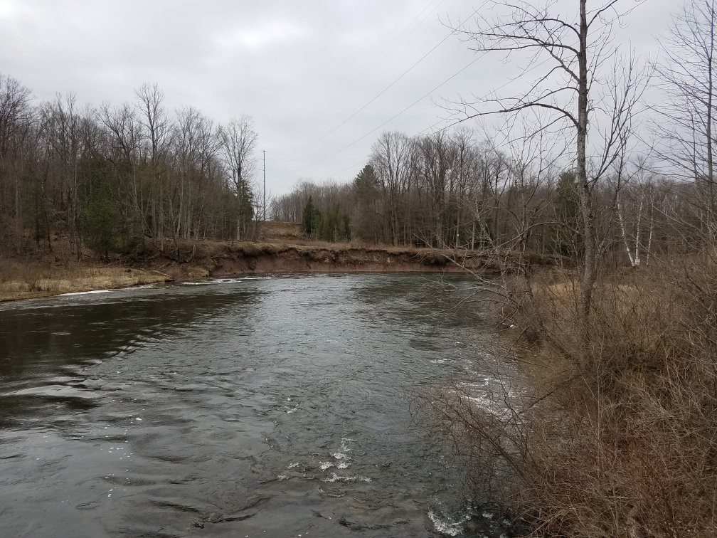 Manistee River Trail-Mesick必去景点