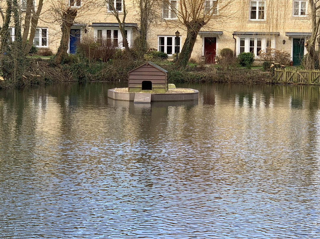 Moreton In Marsh Duck Pond