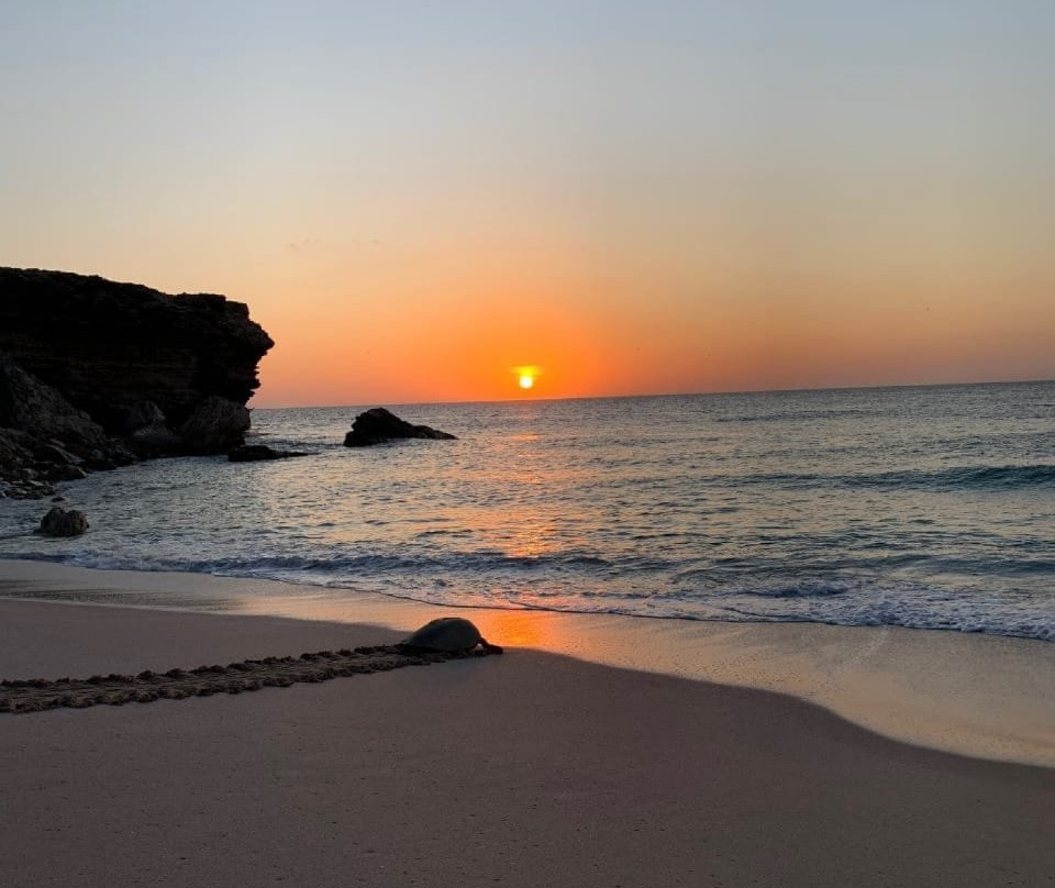 Turtle Guest House主图