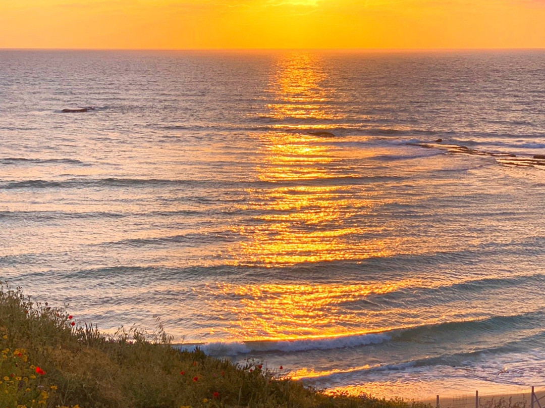 Bat Yam Boardwalk-Tayelet-Bat Yam必去景点