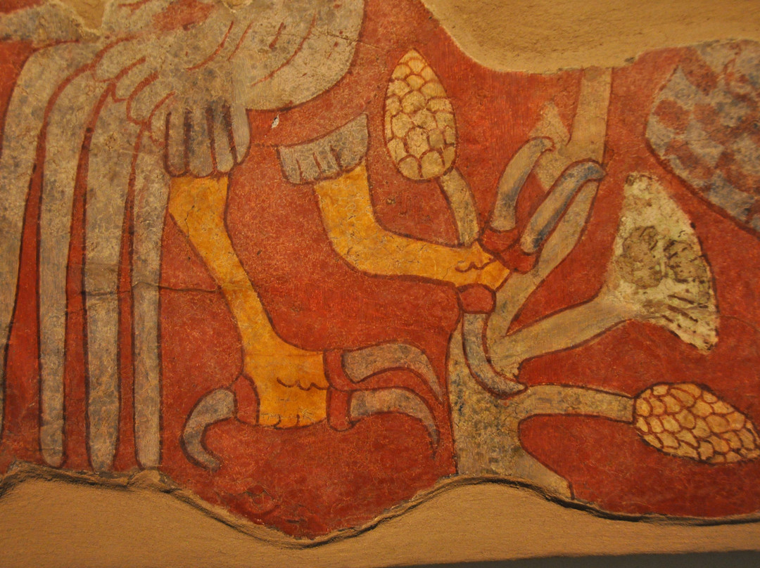 Museo De Los Murales Teotihuacanos - Beatriz de La Fuente景点图片