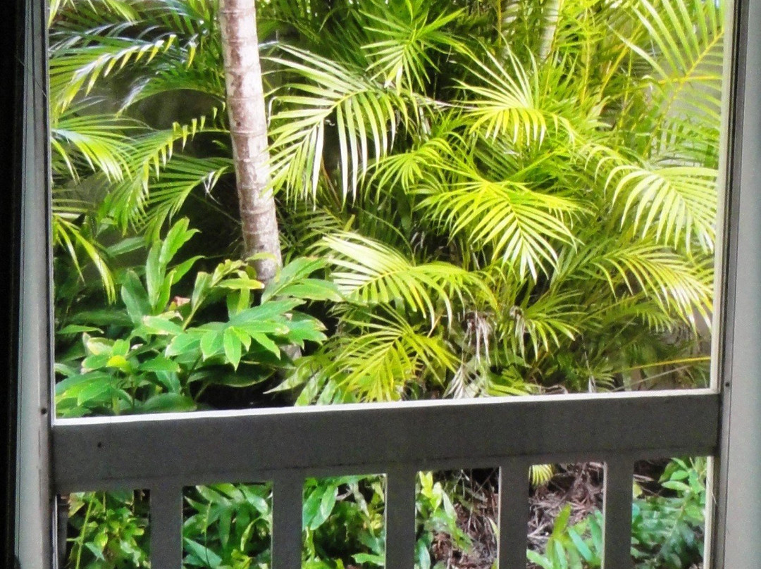 天堂的枕头家庭式酒店主图