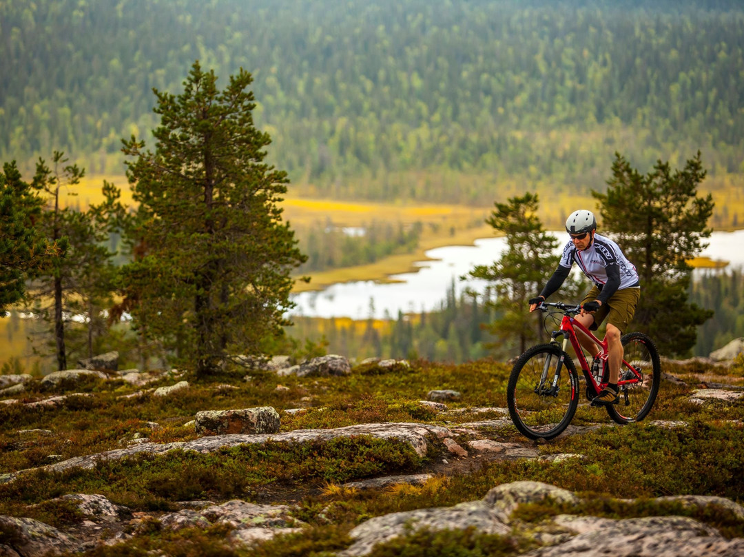 Salla Tourist Info-Salla必去景点