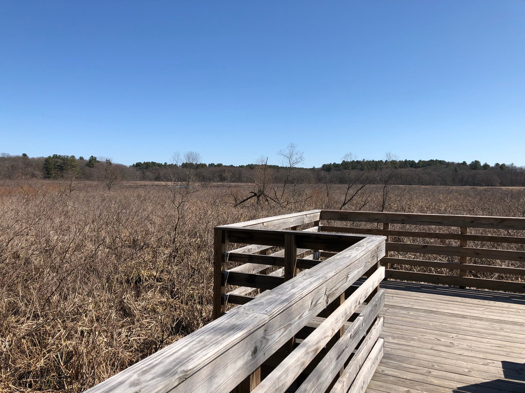 Great Meadows Wildlife Refuge景点图片