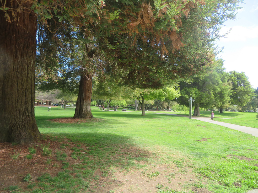 Cuesta Park-山景城必去景点