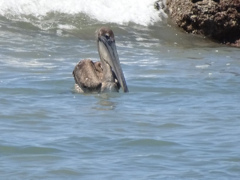 对方旅馆暨餐厅主图