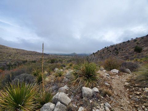 Smith Spring-Guadalupe Mountains National Park必去景点