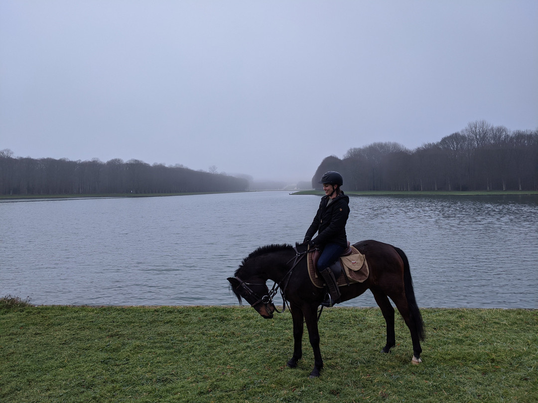 Horse in the City-巴黎必去景点