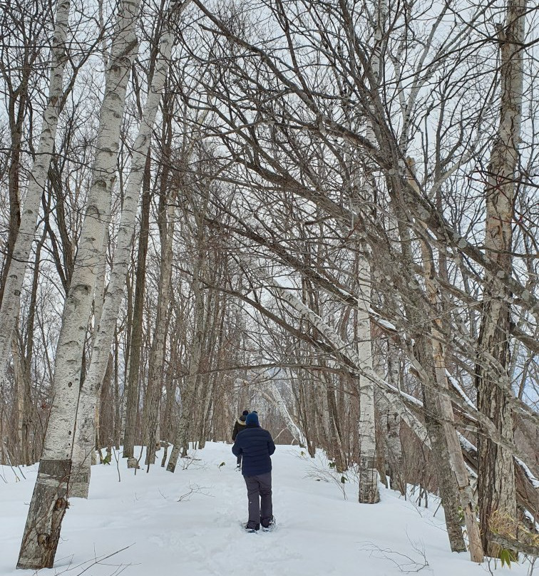 Niseko Adventure Centre-俱知安町必去景点