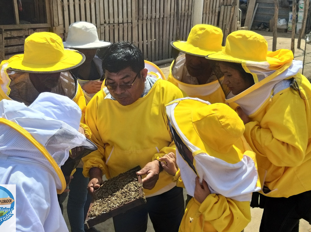 Illimo旅游攻略图片