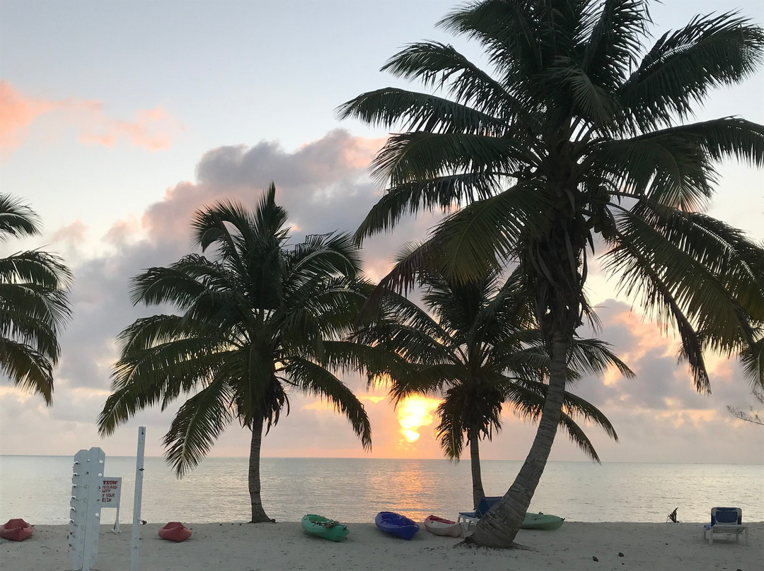 Swains Cay Lodge主图