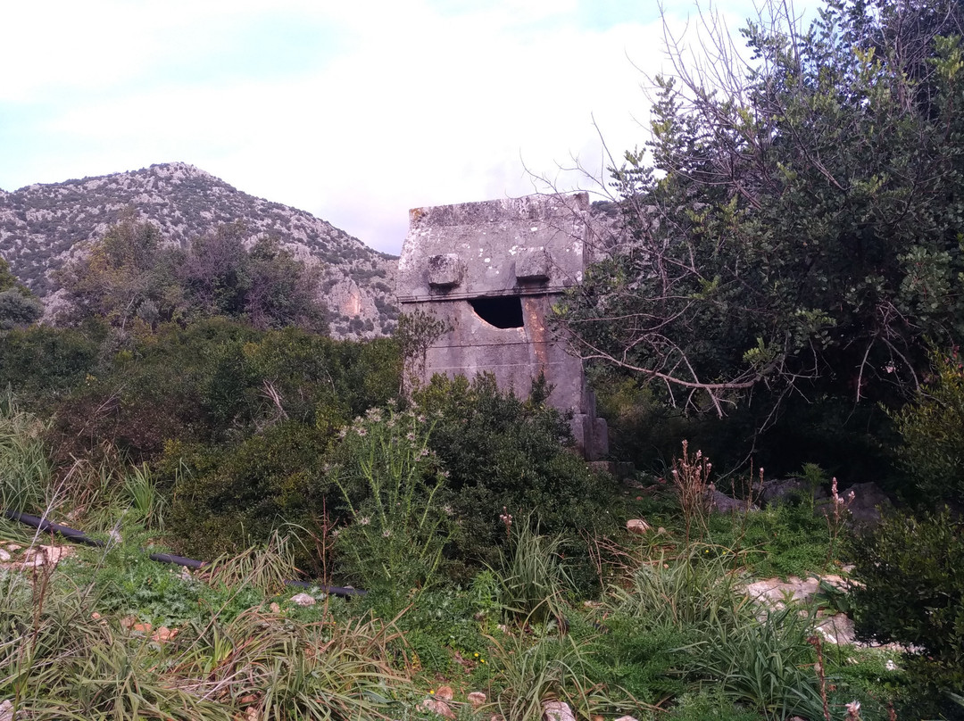 Sura Ancient City景点图片
