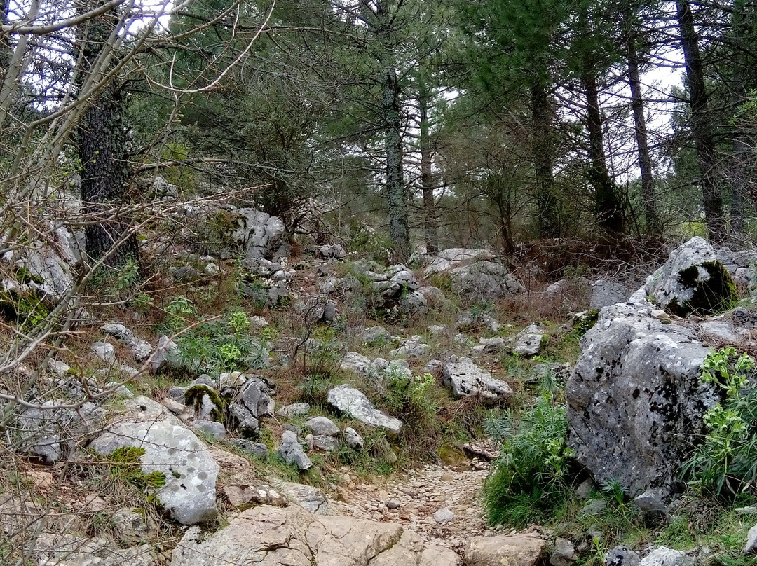 Sendero Puerto de las Presillas景点图片