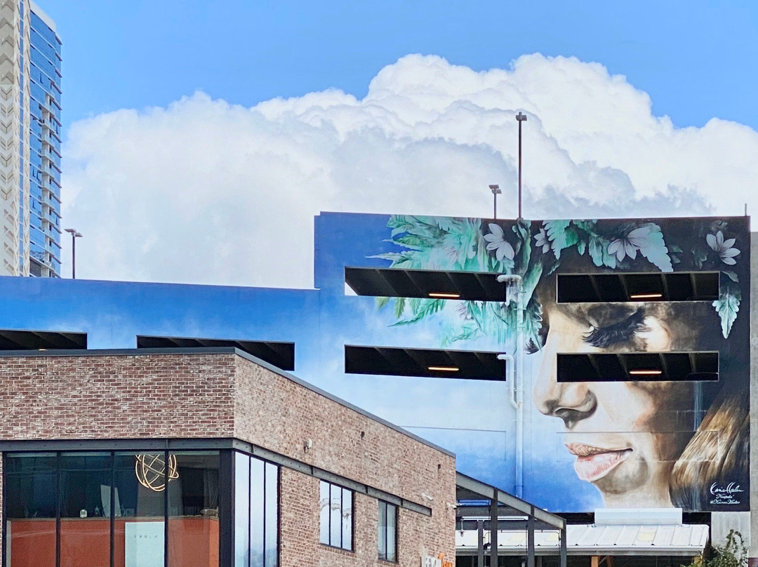 Salt Honolulu-火奴鲁鲁必去景点